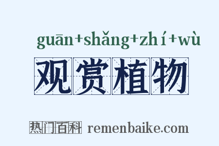 观赏植物是什么意思的图片